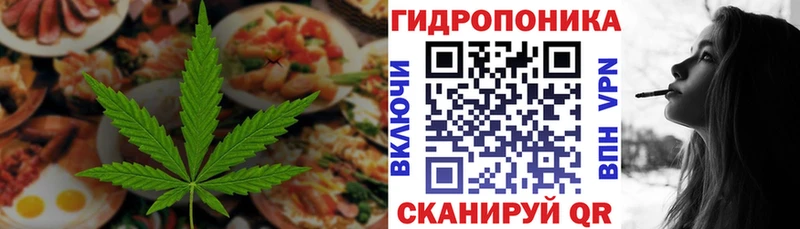 Canna-Cookies марихуана  Купить где  Дубовка 