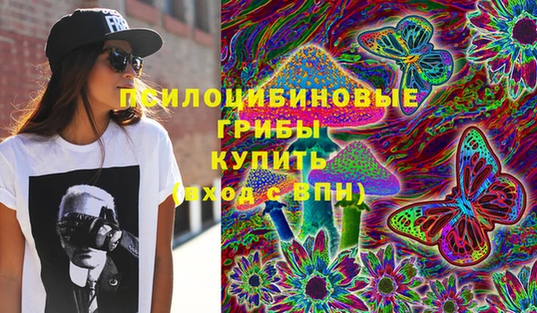 эйфоретик Михайлов