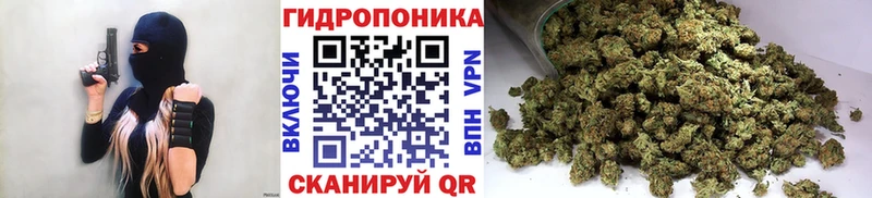 Купить где  Дубовка  Канабис индика 